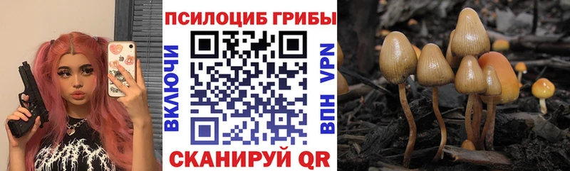 что такое наркотик  Сыктывкар  Галлюциногенные грибы мицелий 